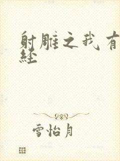 射雕之我有太玄经