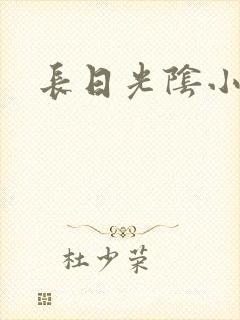 长日光阴小说
