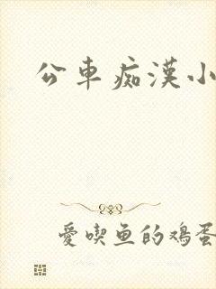公车痴汉小说