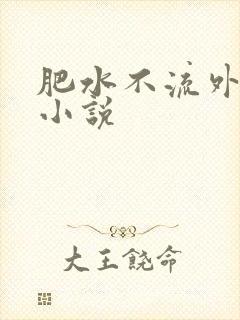 肥水不流外人田小说