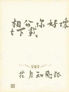 相公你好坏txt下载