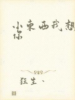 小东西我想弄坏你