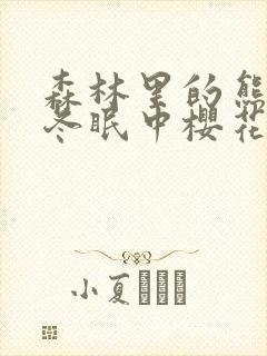 森林里的熊先生冬眠中樱花动漫