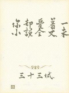 你却爱着一个他小说全文未删减免费