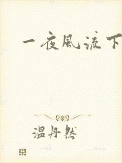 一夜风流下载