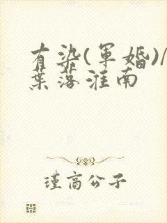 有染(军婚)/叶落淮南