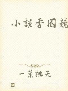 小说香国竞艳