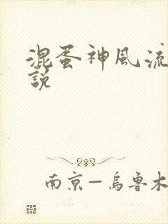 混蛋神风流史小说
