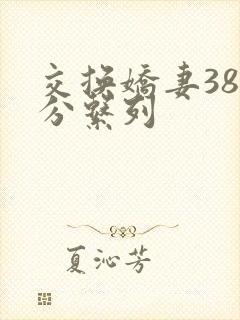 交换娇妻38部分系列