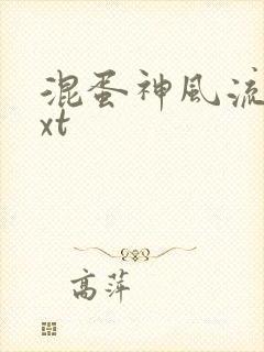 混蛋神风流史txt