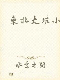 东北大坑小说
