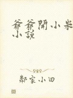爷爷开小米的包小说