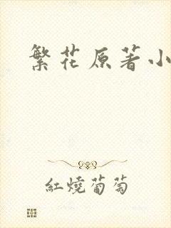 繁花原著小说