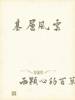 基层风云