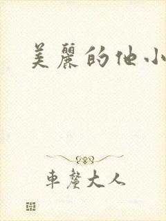 美丽的他小说
