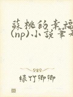 苏桃的幸福生活(np)小说笔趣阁