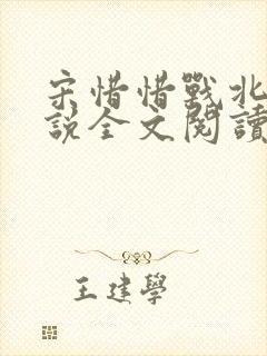 宋惜惜战北望小说全文阅读