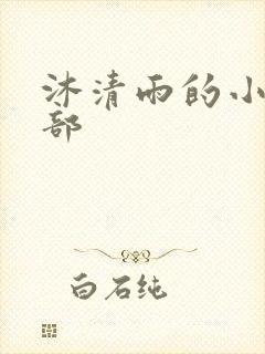 沐清雨的小说全部