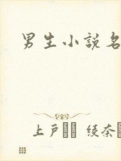男生小说名字