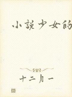 小说少女的心