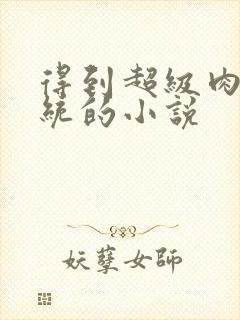 得到超级肉禽系统的小说