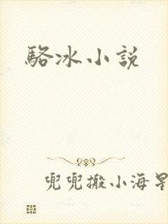骆冰小说