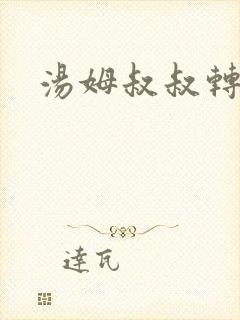 汤姆叔叔转接口