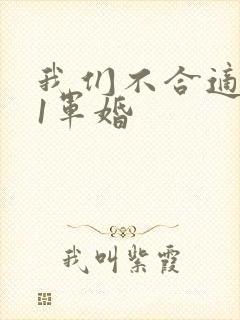 我们不合适1v1军婚