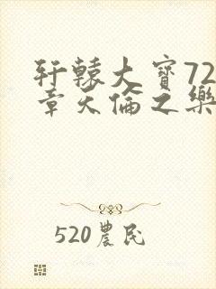 轩辕大宝720章天伦之乐