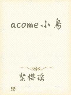 acome小鸟