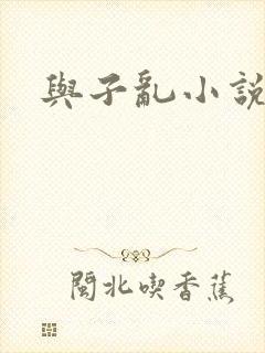 与子乱小说