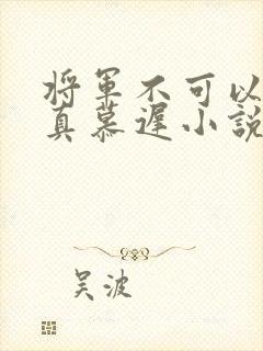 将军不可以魏云真慕迟小说笔趣阁