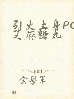 引火上身POP芝麻糖丸