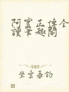 阿宾正传全文阅读笔趣阁