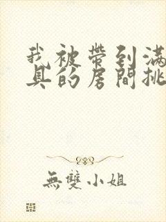 我被带到满是玩具的房间挑调作文