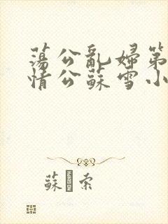 荡公乱妇第1章情公苏雪小说