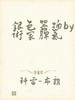 银色器物by艺术家脾气