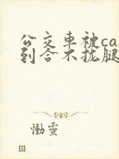 公交车被cao到合不拢腿视频