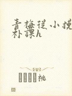 青梅从小摸到大补课h