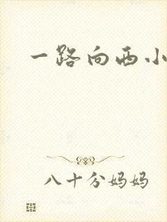 一路向西小说