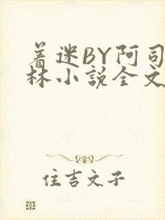 着迷BY阿司匹林小说全文免费阅读