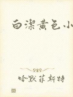 白洁黄色小说