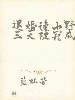 退婚后山野糙汉三天被宠成宝小说