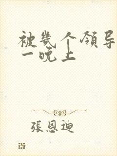 被几个领导玩弄一晚上