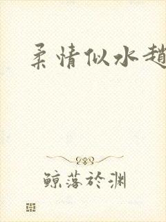 柔情似水赵雅儿