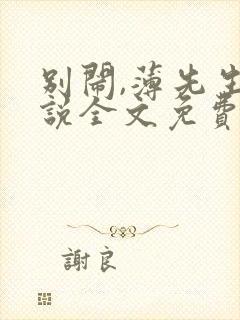 别闹,薄先生小说全文免费阅读