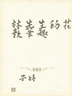 林先生的花式管教笔趣