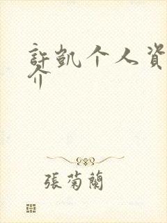 许凯个人资料简介