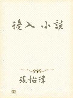 后入 小说
