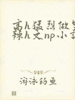 高h猛烈做哭高辣h文np小说